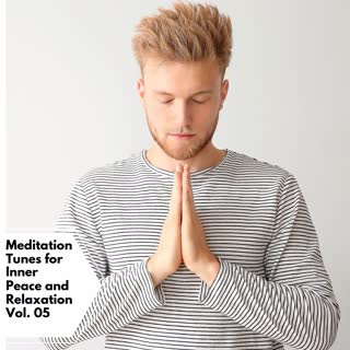 Meditation Tunes For Inner Peace And Relaxation Vol. 05