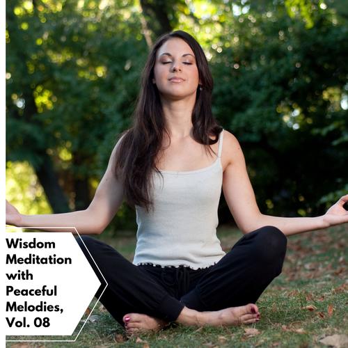 Wisdom Meditation With Peaceful Melodies, Vol. 08