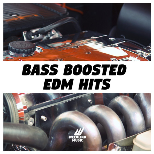 Bass Boosted EDM Hits (Explicit)