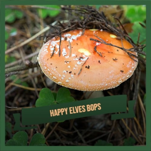 Happy Elves Bops