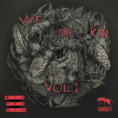 WE ARE KIN, Vol.1 (Explicit)