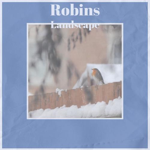 Robins Landscape