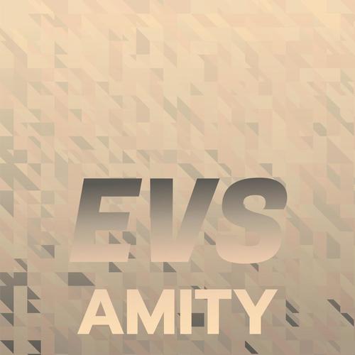 Evs Amity