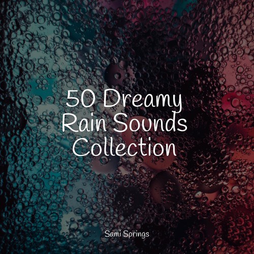 50 Dreamy Rain Sounds Collection