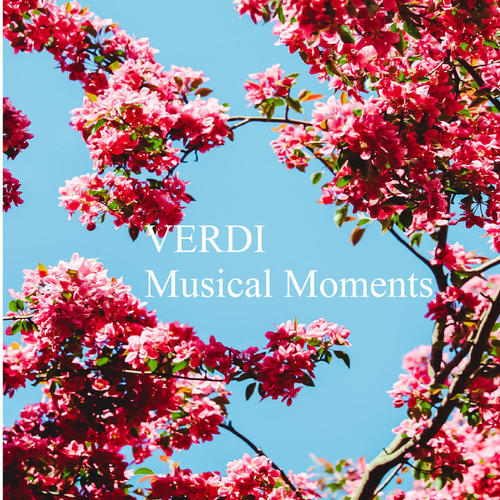 Verdi - Musical Moments