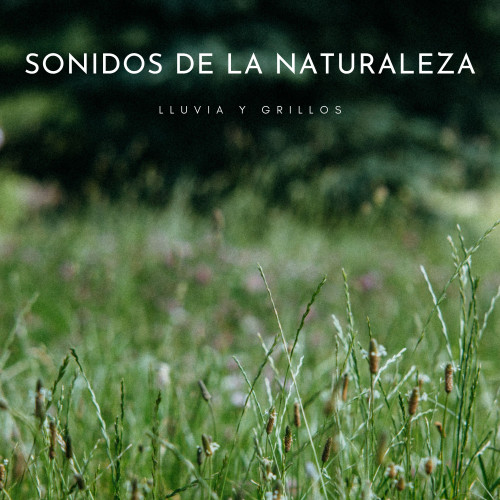 Sonidos De La Naturaleza: Lluvia y Grillos