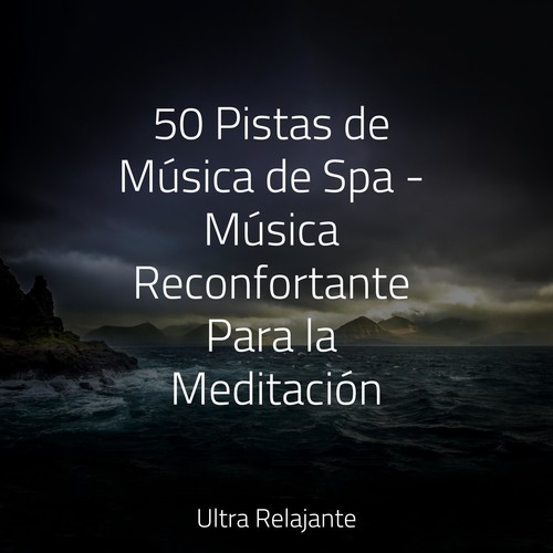 50 Pistas de Música de Spa - Música Reconfortante Para la Meditación