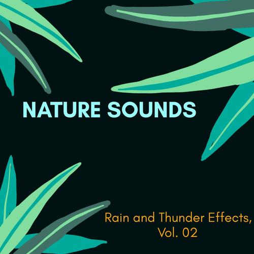 Nature Sounds - Rain and Thunder Effects, Vol. 02