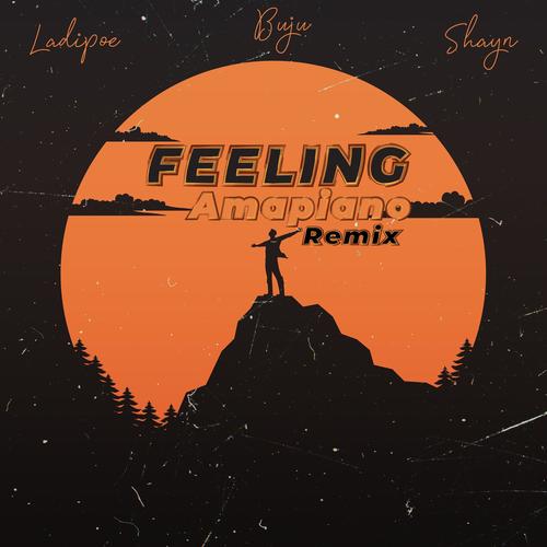 Feeling (Shayn Remix)