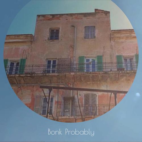 Bonk Probably