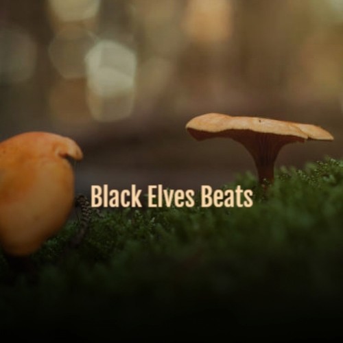 Black Elves Beats