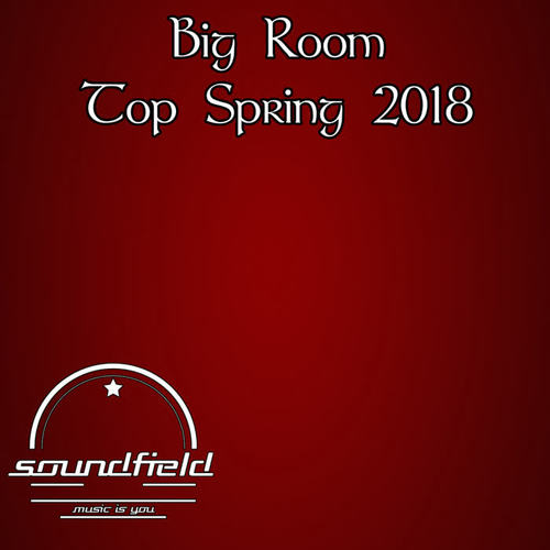 Big Room Top Spring 2018