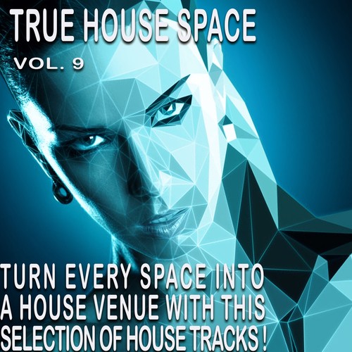 The House Space, Vol. 9