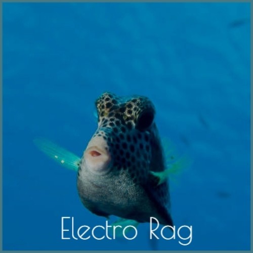 Electro Rag