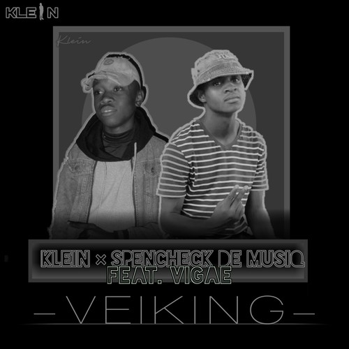 Veiking (Extended Version)