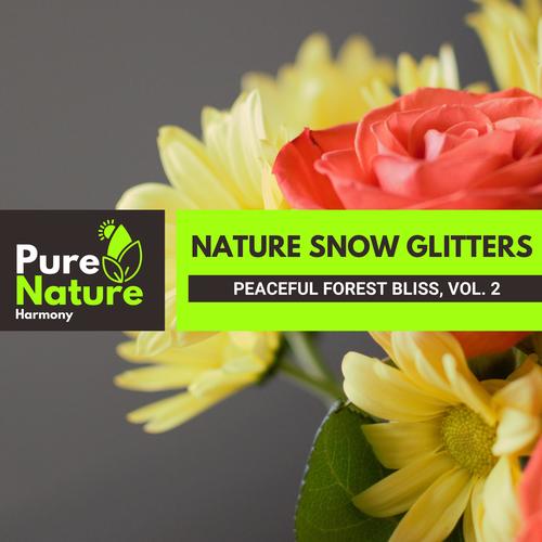 Nature Snow Glitters - Peaceful Forest Bliss, Vol. 2