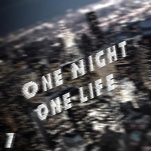 One Night One Life