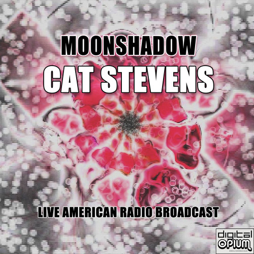 Moonshadow (Live)