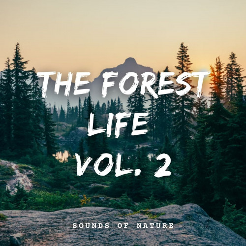 Sounds of Nature: The Forest Life Vol. 2