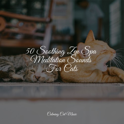 50 Soothing Zen Spa Meditation Sounds For Cats