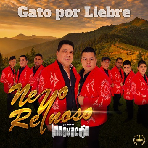 Gato por Liebre