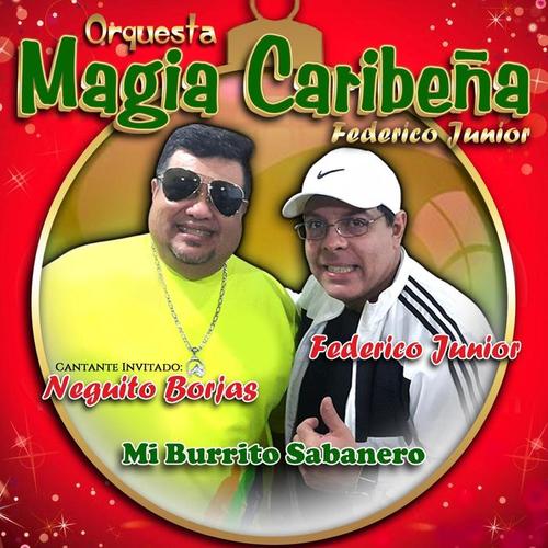 Mi Burrito Sabanero (feat. Neguito Borjas)