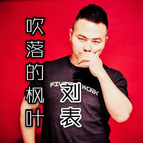吹落的枫叶