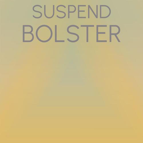 Suspend Bolster