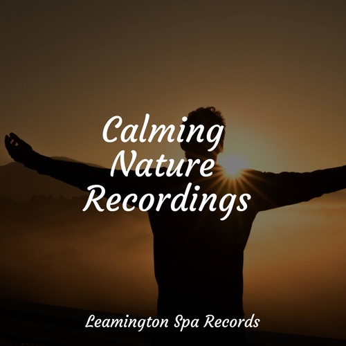 Calming Nature Recordings