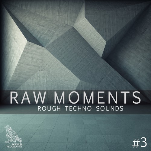 Raw Moments, Vol. 3 - Rough Techno Sounds (Explicit)