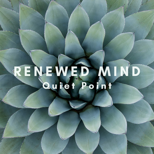 Renewed Mind