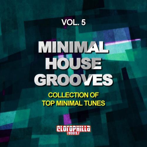 Minimal House Grooves, Vol. 5 (Collection of Top Minimal Tunes)