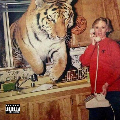 50 BARS + (Explicit)