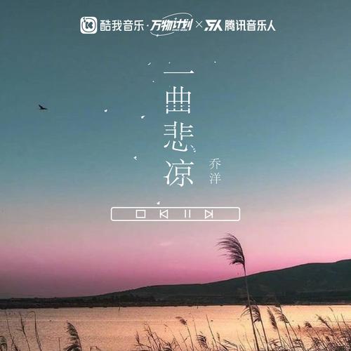 一曲悲凉(DJ德朋版）