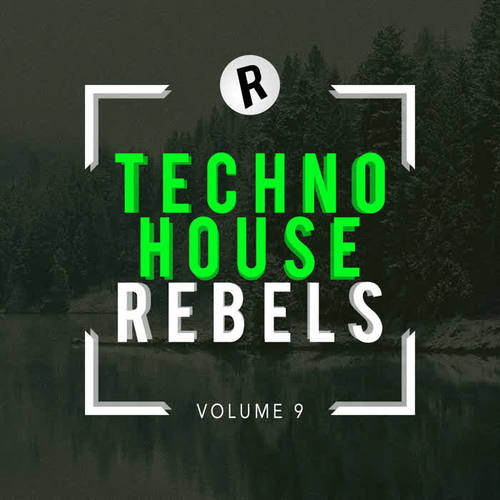 Techno House Rebels, Vol. 9