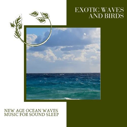 Exotic Waves and Birds - New Age Ocean Waves Music for Sound Sleep