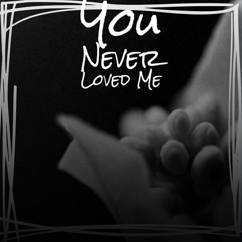 You Never Loved Me