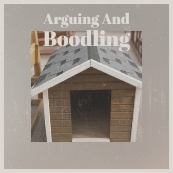 Arguing And Boodling