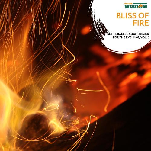 Bliss of Fire - Soft Crackle Soundtrack for the Evening, Vol. 5