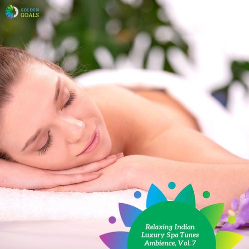 Relaxing Indian Luxury Spa Tunes Ambience, Vol. 7