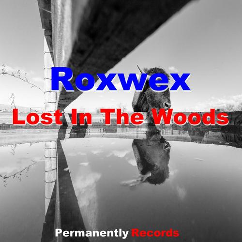 Lost In The Wood - Single