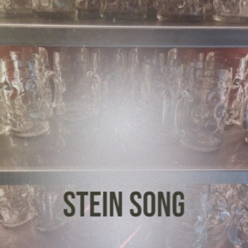 Stein Song