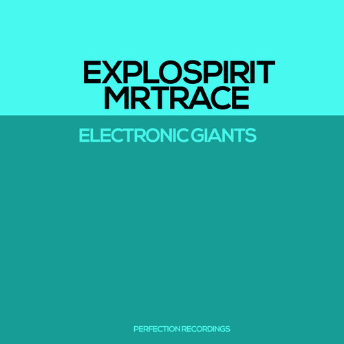Electronic Giants