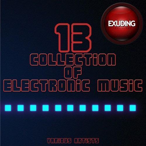 Collection of Electronic Music, Vol. 13