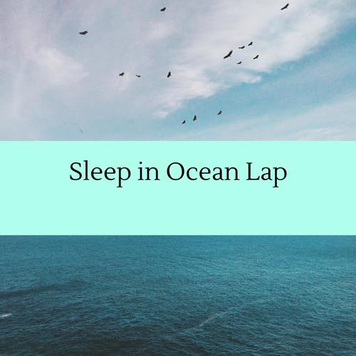 Sleep in Ocean Lap