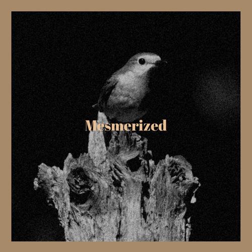 Mesmerized
