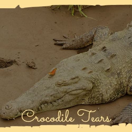 Crocodile Tears