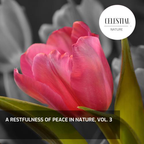 A Restfulness of Peace in Nature, Vol. 3