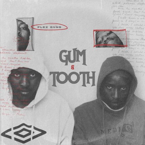 Gum & Tooth (Explicit)