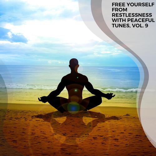 Free Yourself from Restlessness with Peaceful Tunes, Vol. 9